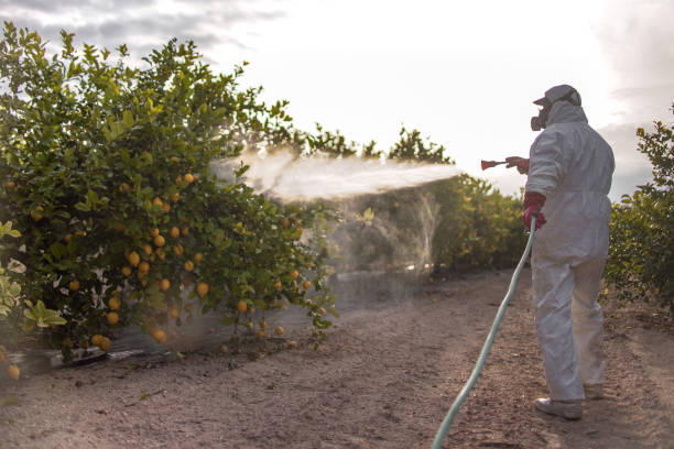 Professional Pest Control in Walkertown, NC